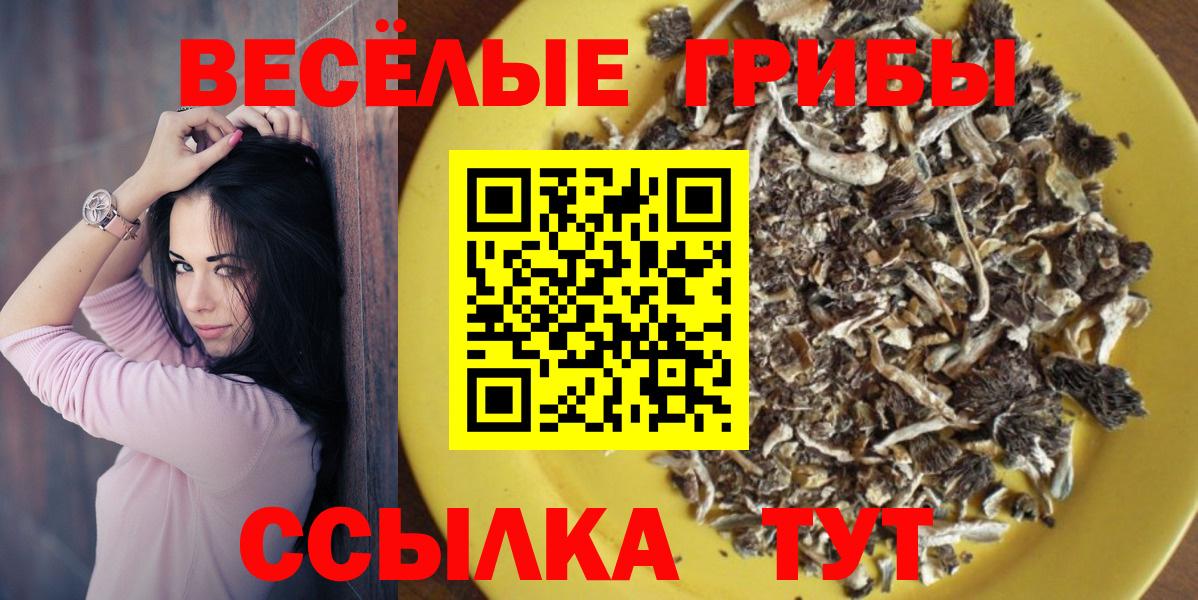 Галлюциногенные грибы Cubensis  Псилоцибиновые грибы Psilocybe  Вход с VPN  Барнаул 